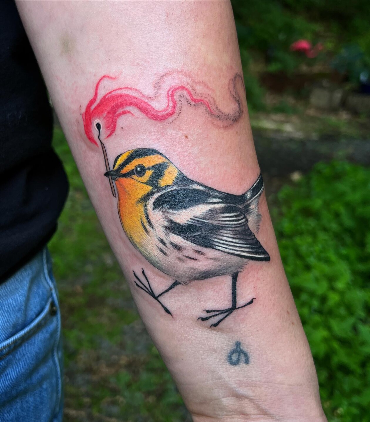 Stephanie Brown Creates Whimsical Tattoos Of Birds Holding A Lit Match Symbolizing Hope For A Better Future (7)