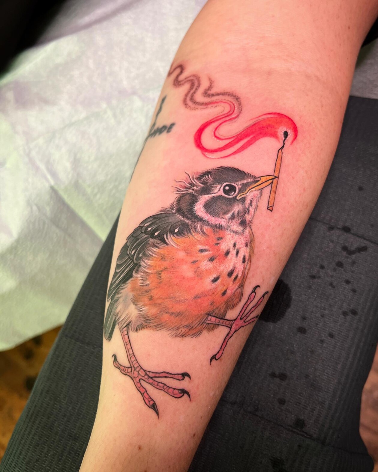Stephanie Brown Creates Whimsical Tattoos Of Birds Holding A Lit Match Symbolizing Hope For A Better Future (8)