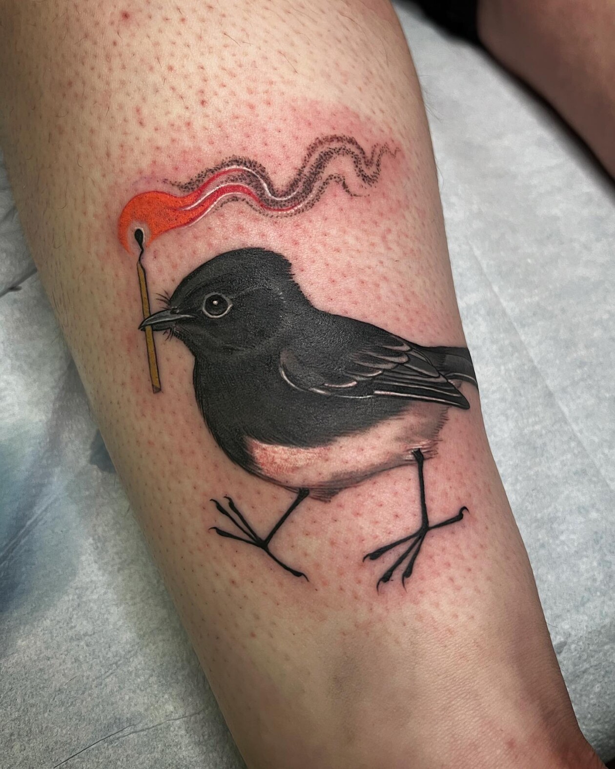 Stephanie Brown Creates Whimsical Tattoos Of Birds Holding A Lit Match Symbolizing Hope For A Better Future (9)