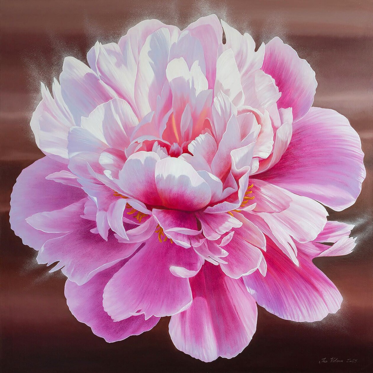 Stunning Flower In Bloom Paintings By Ukrainian Artist Ira Volkova (11)