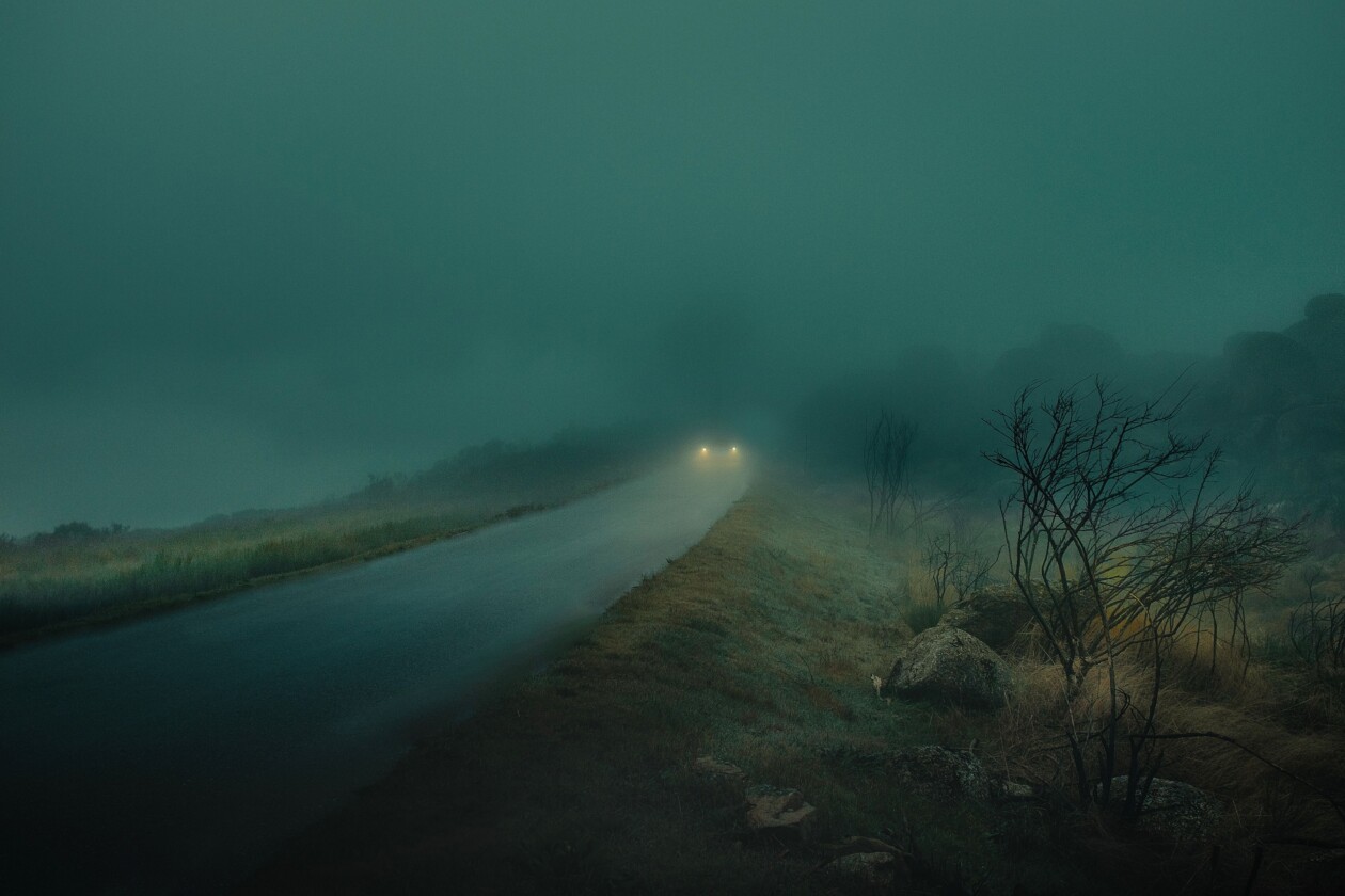 They Drive By Night, An Ethereal Foggy Landscape Photography Series By Henri Prestes (1)