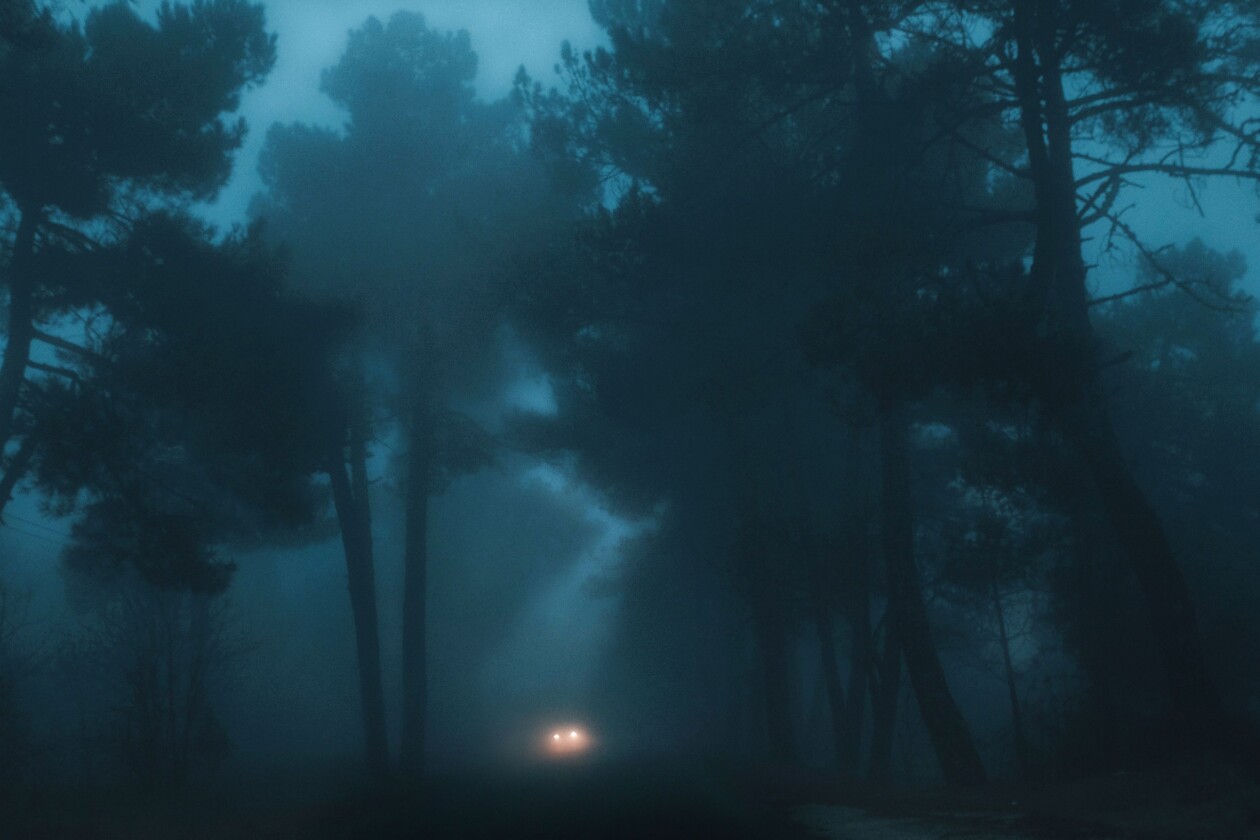 They Drive By Night, An Ethereal Foggy Landscape Photography Series By Henri Prestes (4)