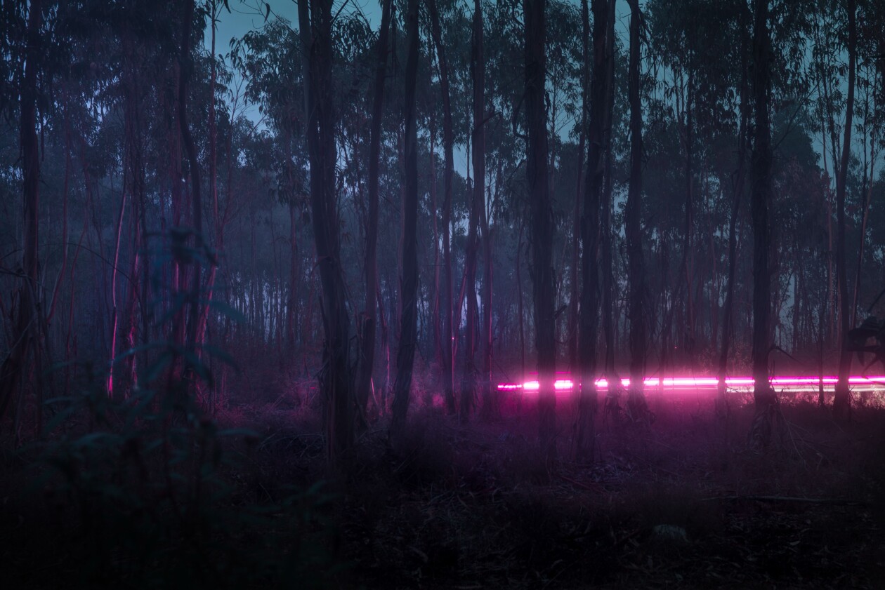 They Drive By Night, An Ethereal Foggy Landscape Photography Series By Henri Prestes (6)
