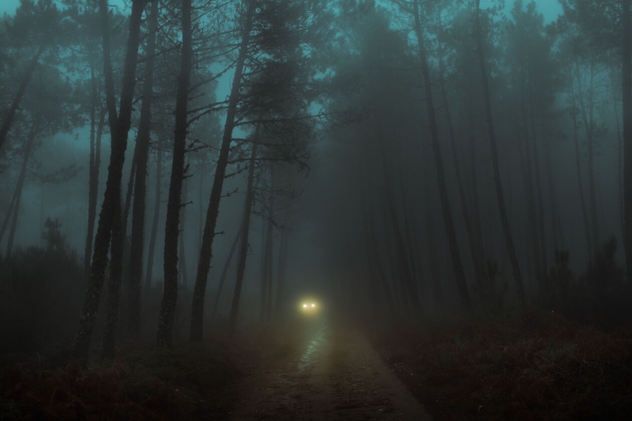 They Drive By Night, An Ethereal Foggy Landscape Photography Series By Henri Prestes (8)