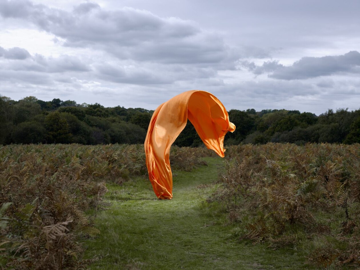 Transient Sculptures Photography Series By Neal Grundy (17)
