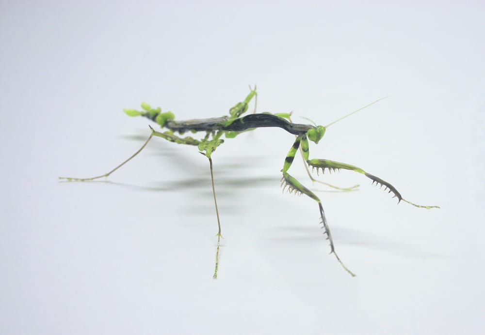 Amazingly Realistic Insect And Plant Glass Sculptures By Yuki Tsunoda (10)