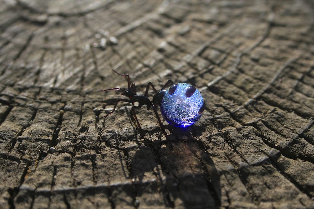 Amazingly Realistic Insect And Plant Glass Sculptures By Yuki Tsunoda (11)