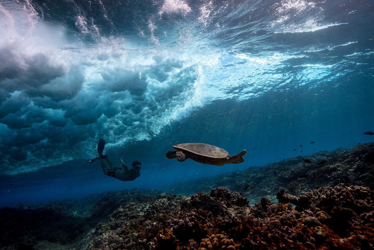 Below The Breaking Wave, An Amazing Underwater Photography Series By Matt Porteous (22)