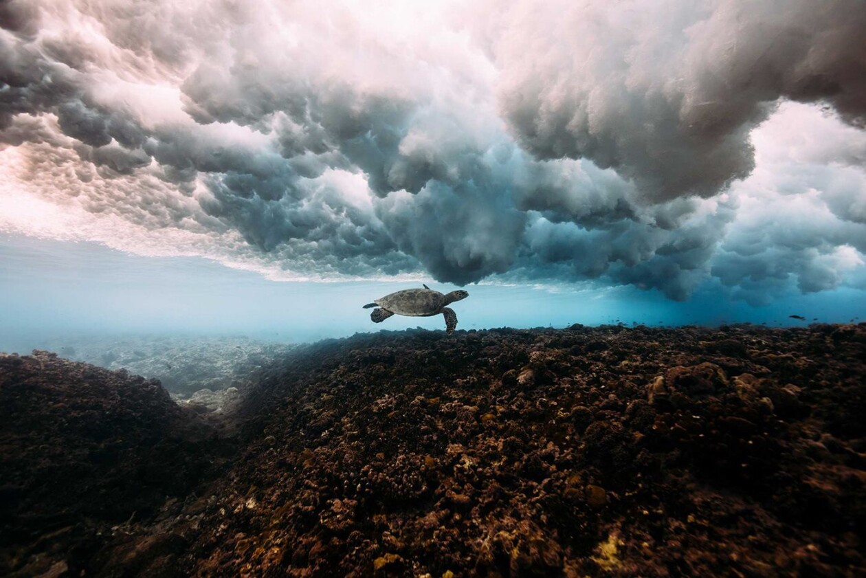 Below The Breaking Wave, An Amazing Underwater Photography Series By Matt Porteous (4)