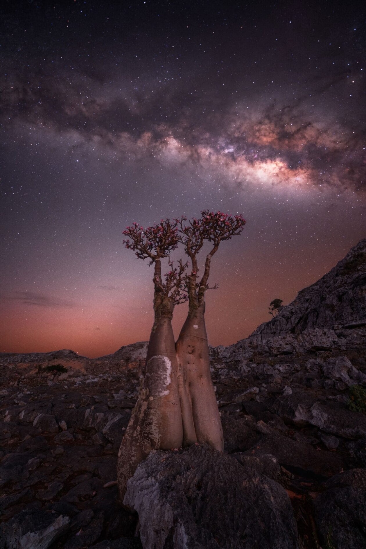 Capturing The Celestial Majesty In The Milky Way Photographer Of The Year Contest (8)