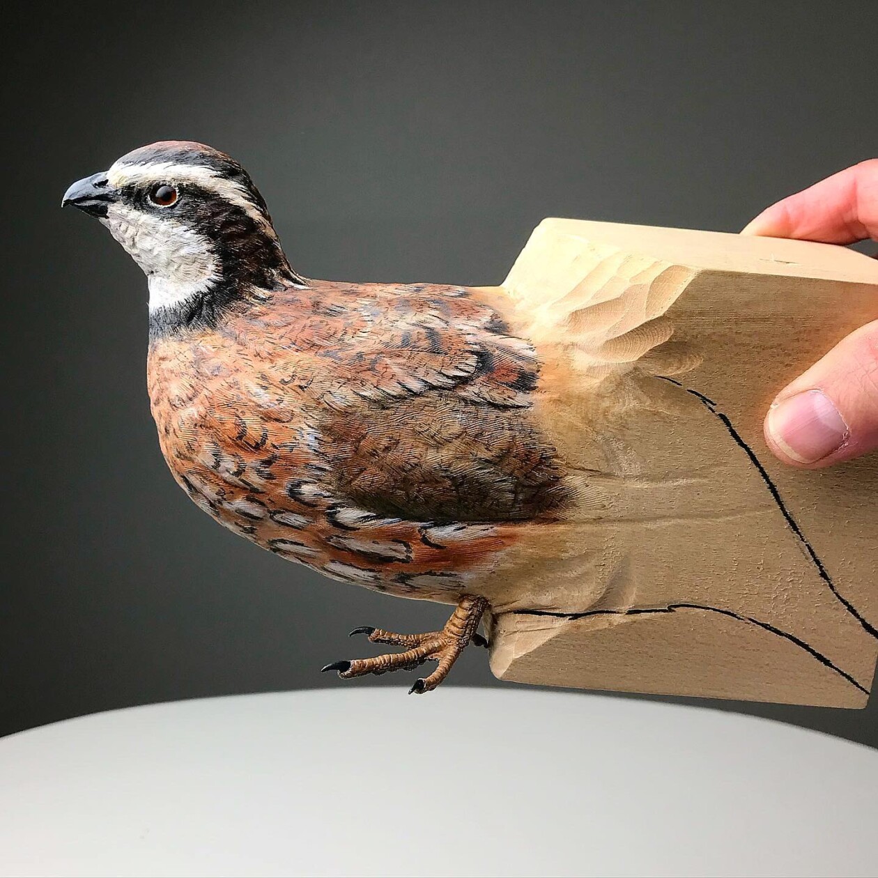 From Branch To Breathtaking, The Art Of Chris Wilson's Wildlife Sculptures (13)