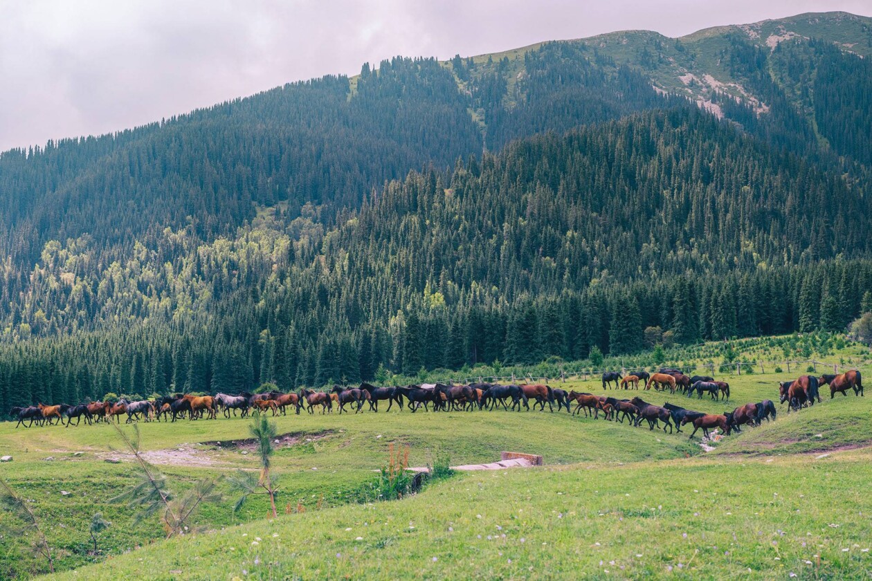 Kyrgyzstan Odyssey, A Hypnotizing Landscape Photography Series By Rus Khasanov (7)