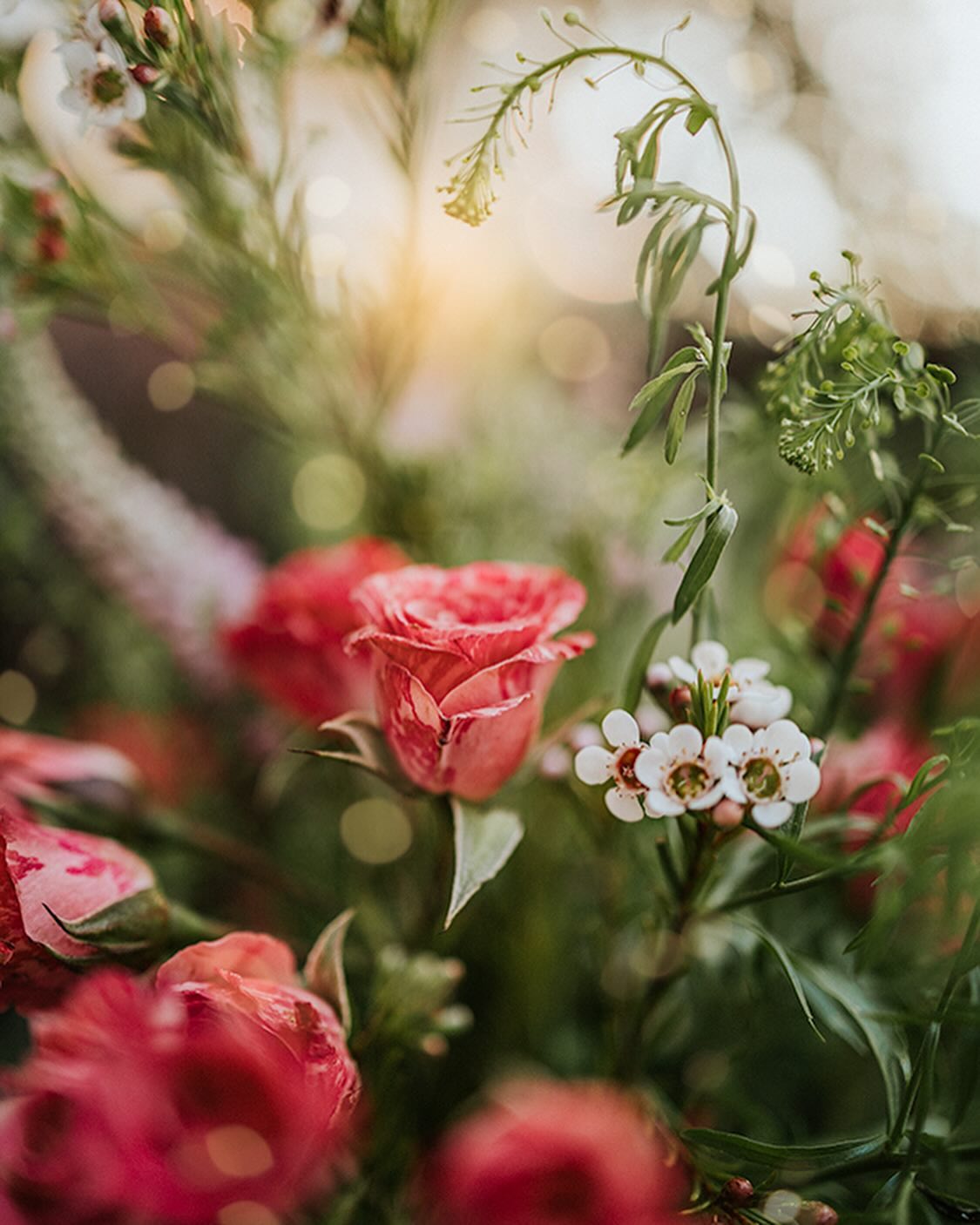 Lucy Ketchum's Captivating Florals (12)