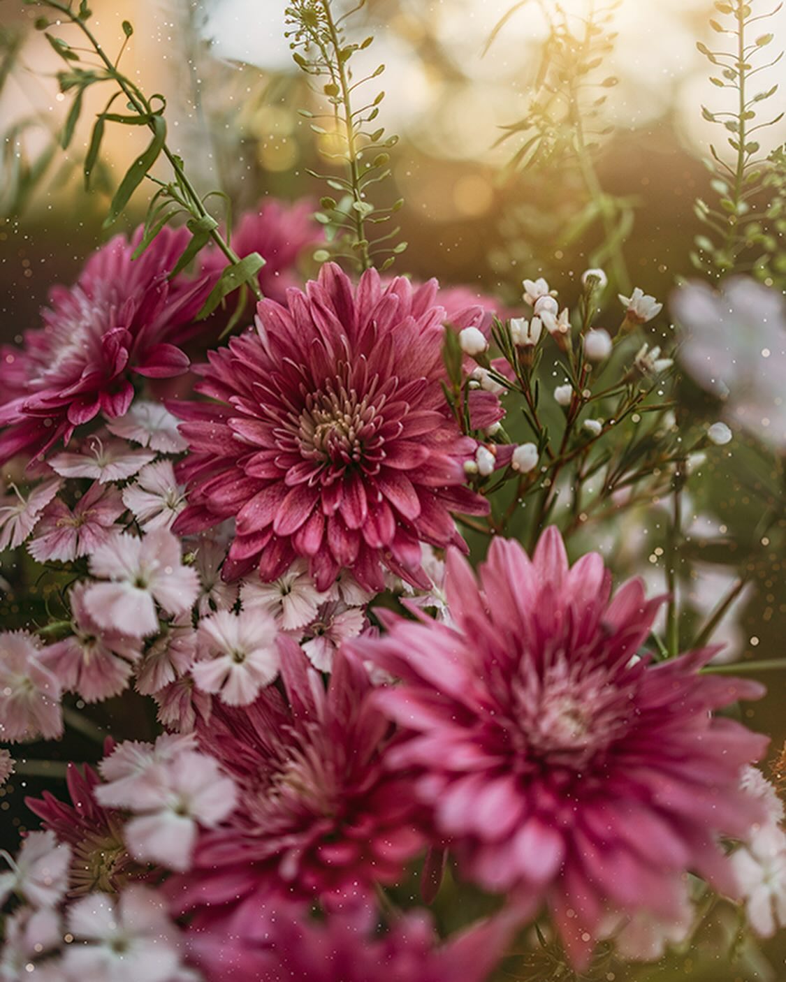 Lucy Ketchum's Captivating Florals (14)
