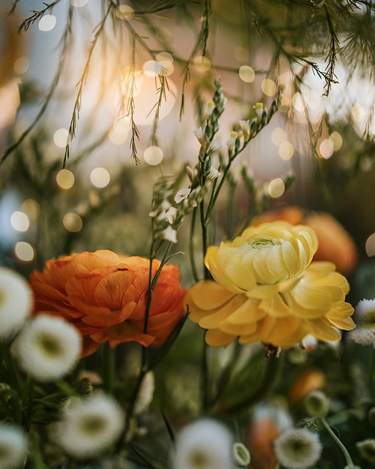 Lucy Ketchum's Captivating Florals (6)