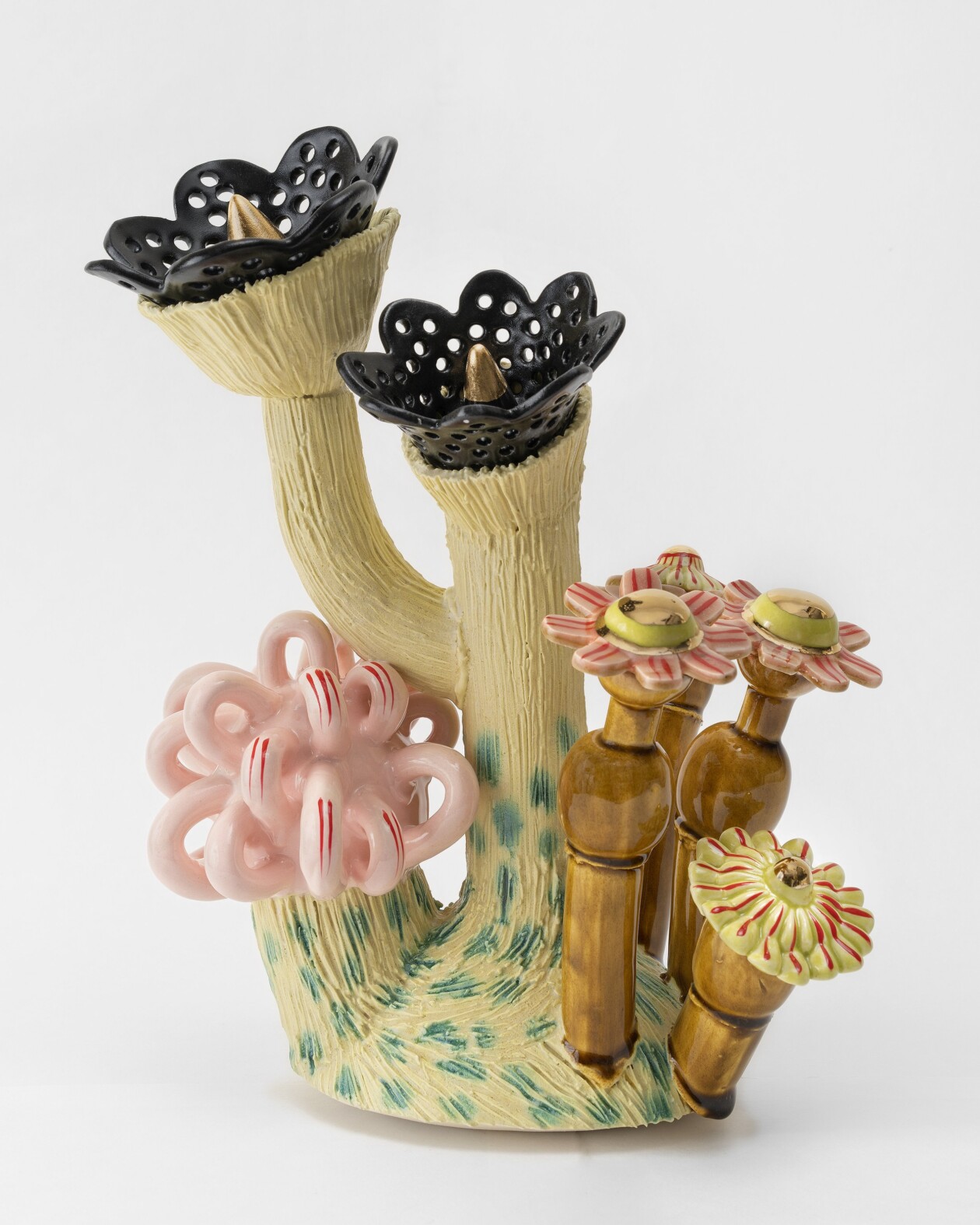 Sculpted Symbiosis, Megan Bogonovich's Ceramic Celebration Of Coexistence (12)