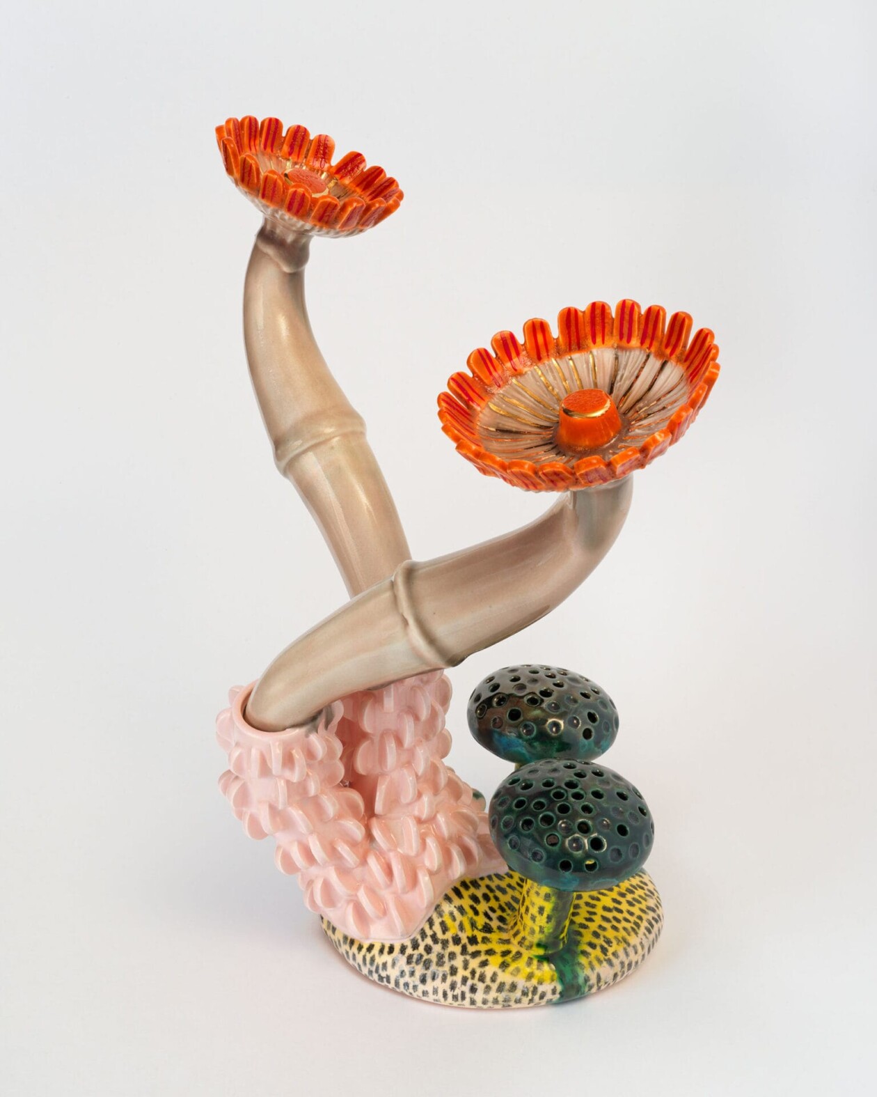 Sculpted Symbiosis, Megan Bogonovich's Ceramic Celebration Of Coexistence (20)