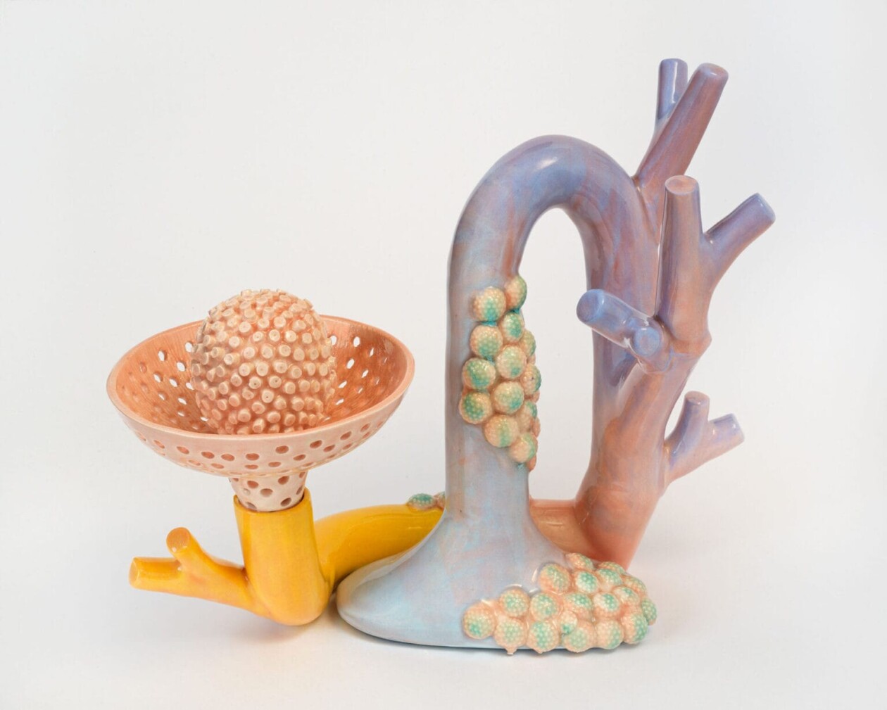 Sculpted Symbiosis, Megan Bogonovich's Ceramic Celebration Of Coexistence (22)