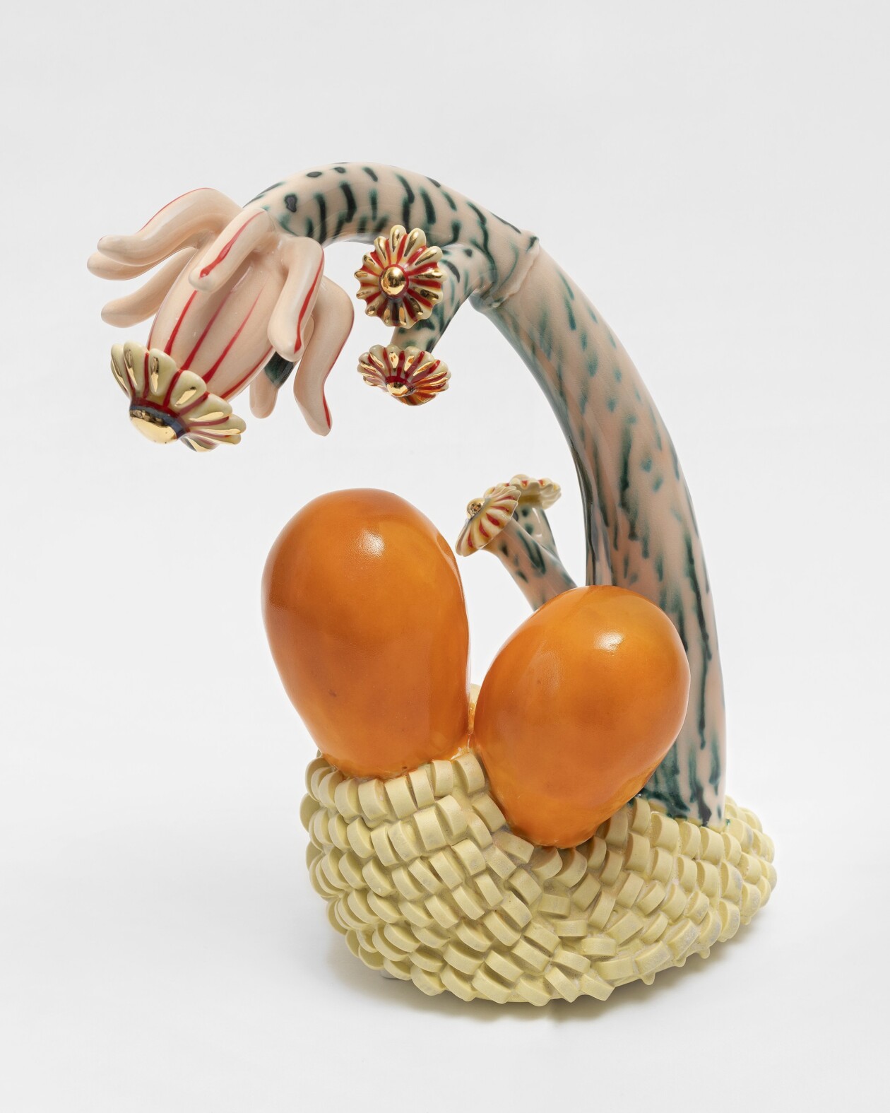 Sculpted Symbiosis, Megan Bogonovich's Ceramic Celebration Of Coexistence (6)