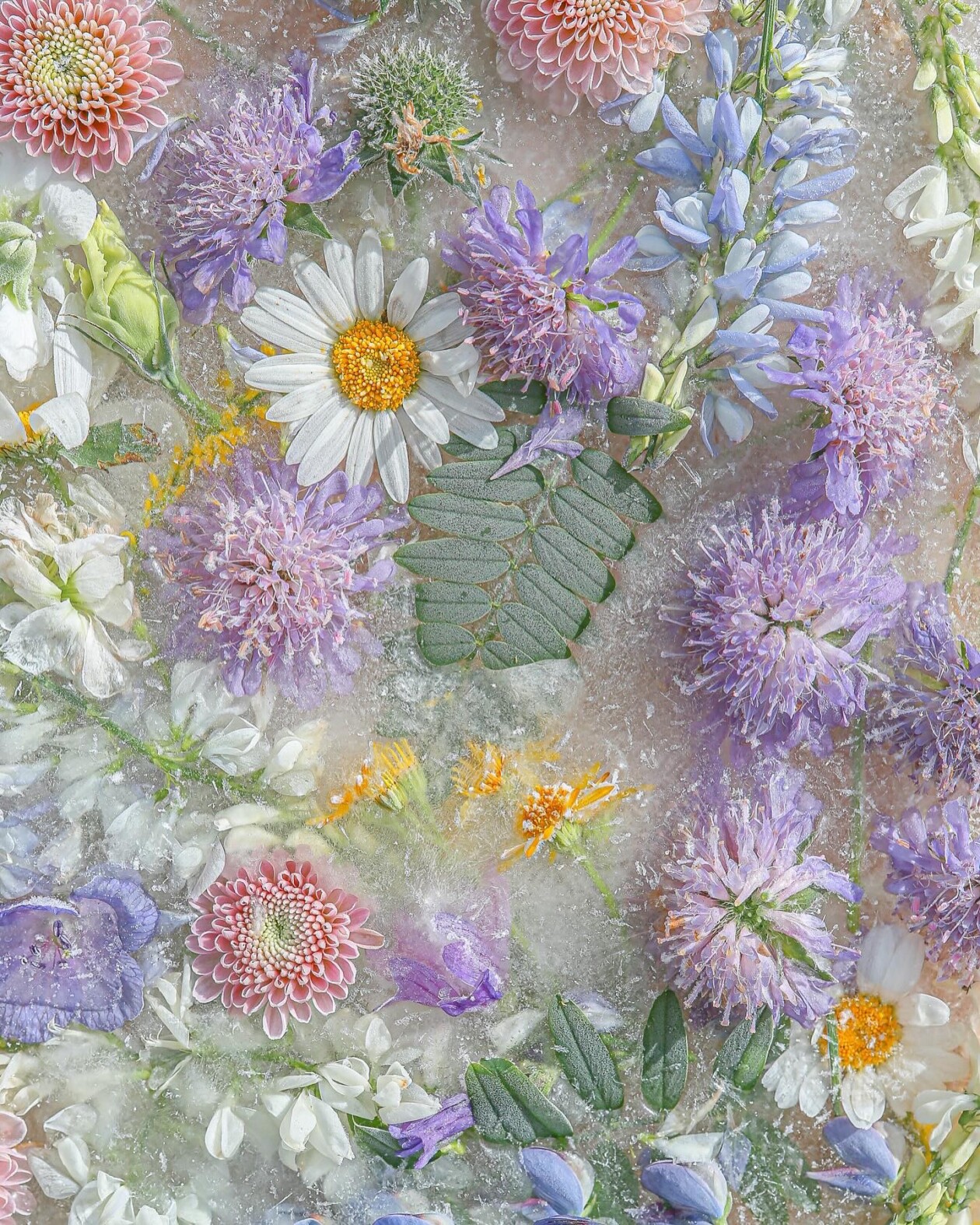 The Captivating Floral Artistry Of Joe Horner (12)