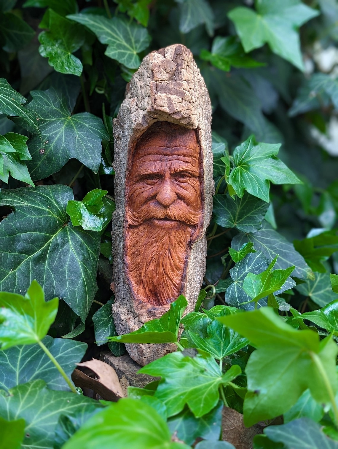 Where Wood Whispers, The Remarkable Sculptures Of Tom Wilkinson (3)