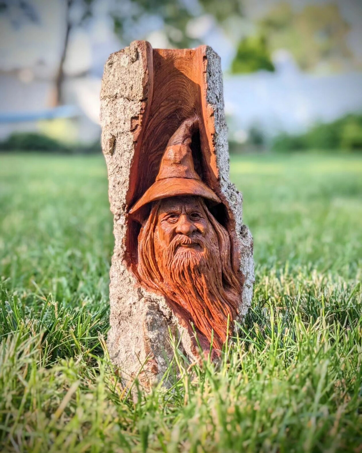 Where Wood Whispers, The Remarkable Sculptures Of Tom Wilkinson (7)
