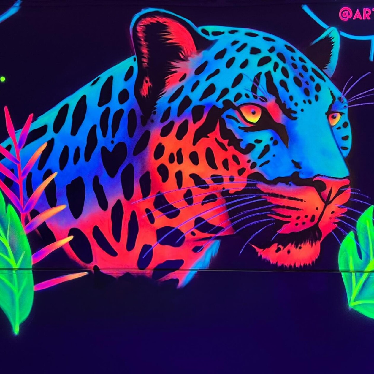 After Dark, The Luminous And Colorful Murals Of Fabián Bravo Guerrero (6)