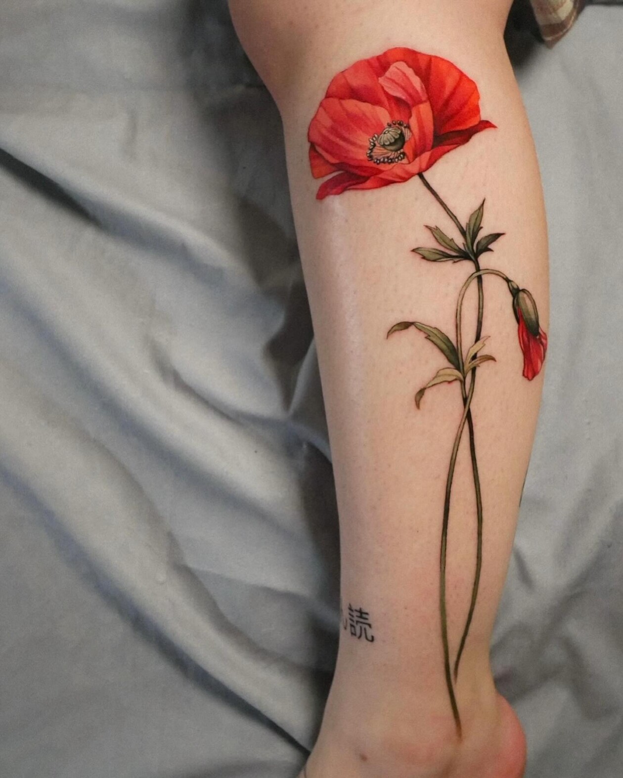 Botany And Animal Illustrative Tattoos By Vanessa Core (15)