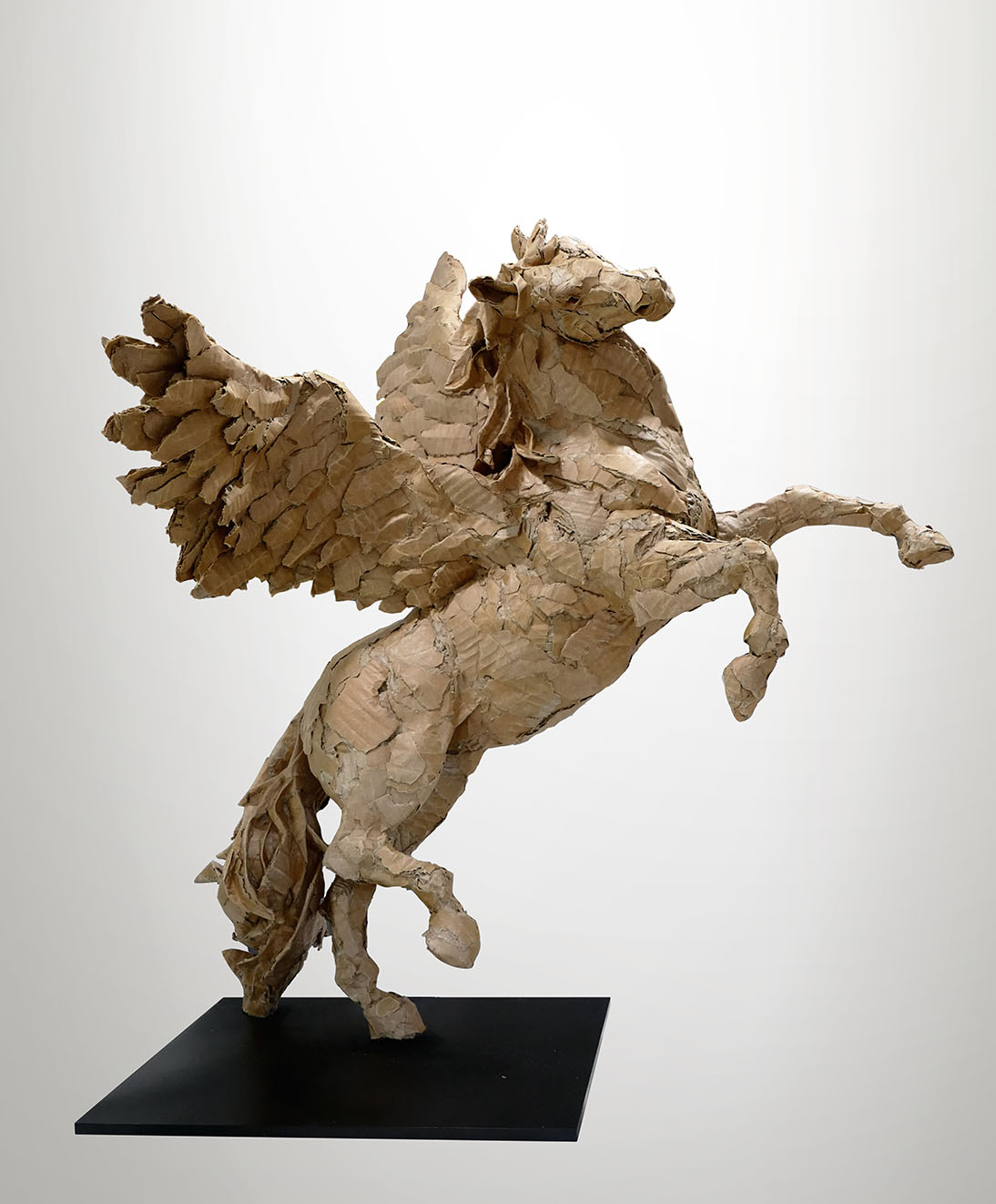 Cardboard Wonders, Olivier Bertrand’s Sustainable Lifelike Animal Sculptures (11)