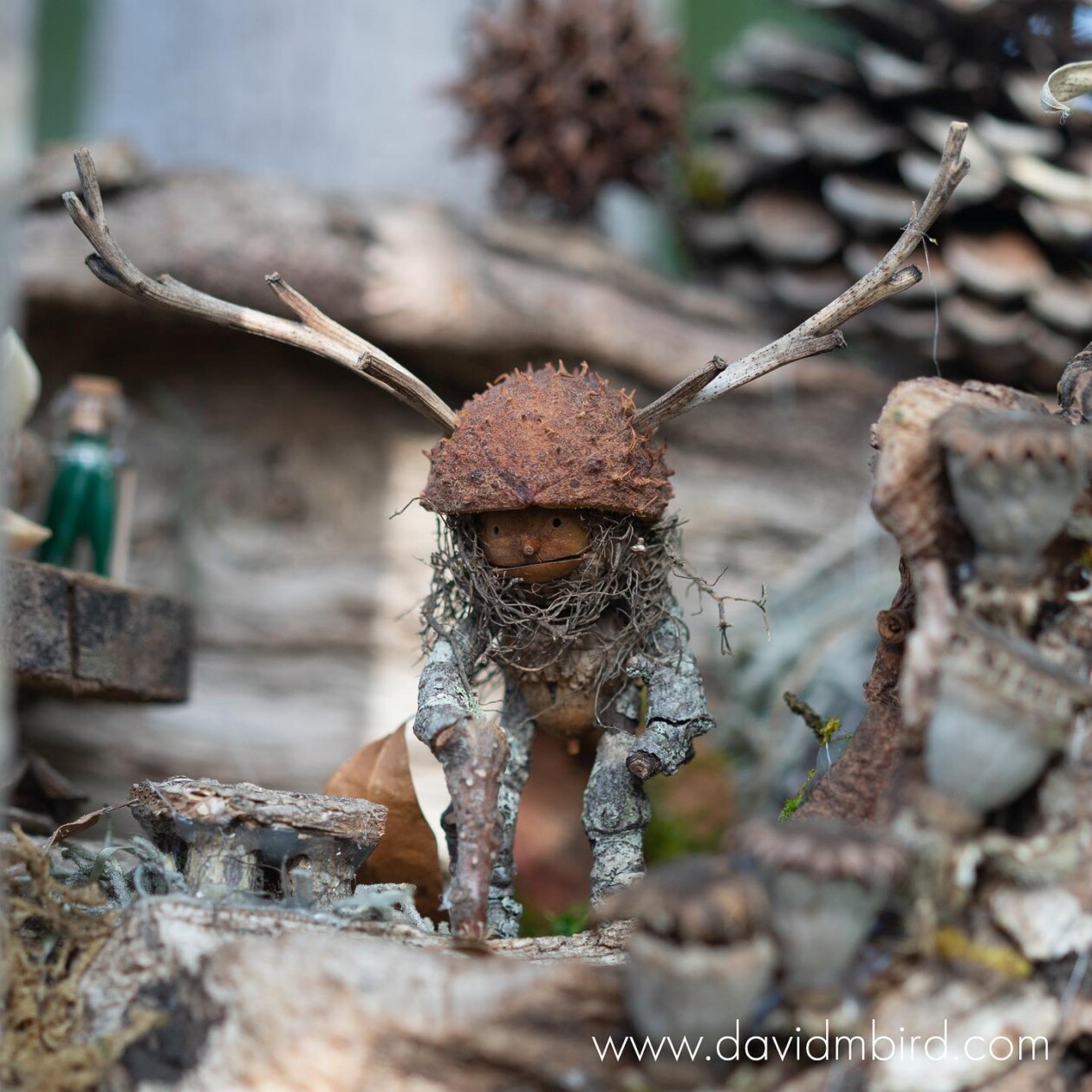 Charming Forest Creatures, The World Of Becorns By David Bird (4)