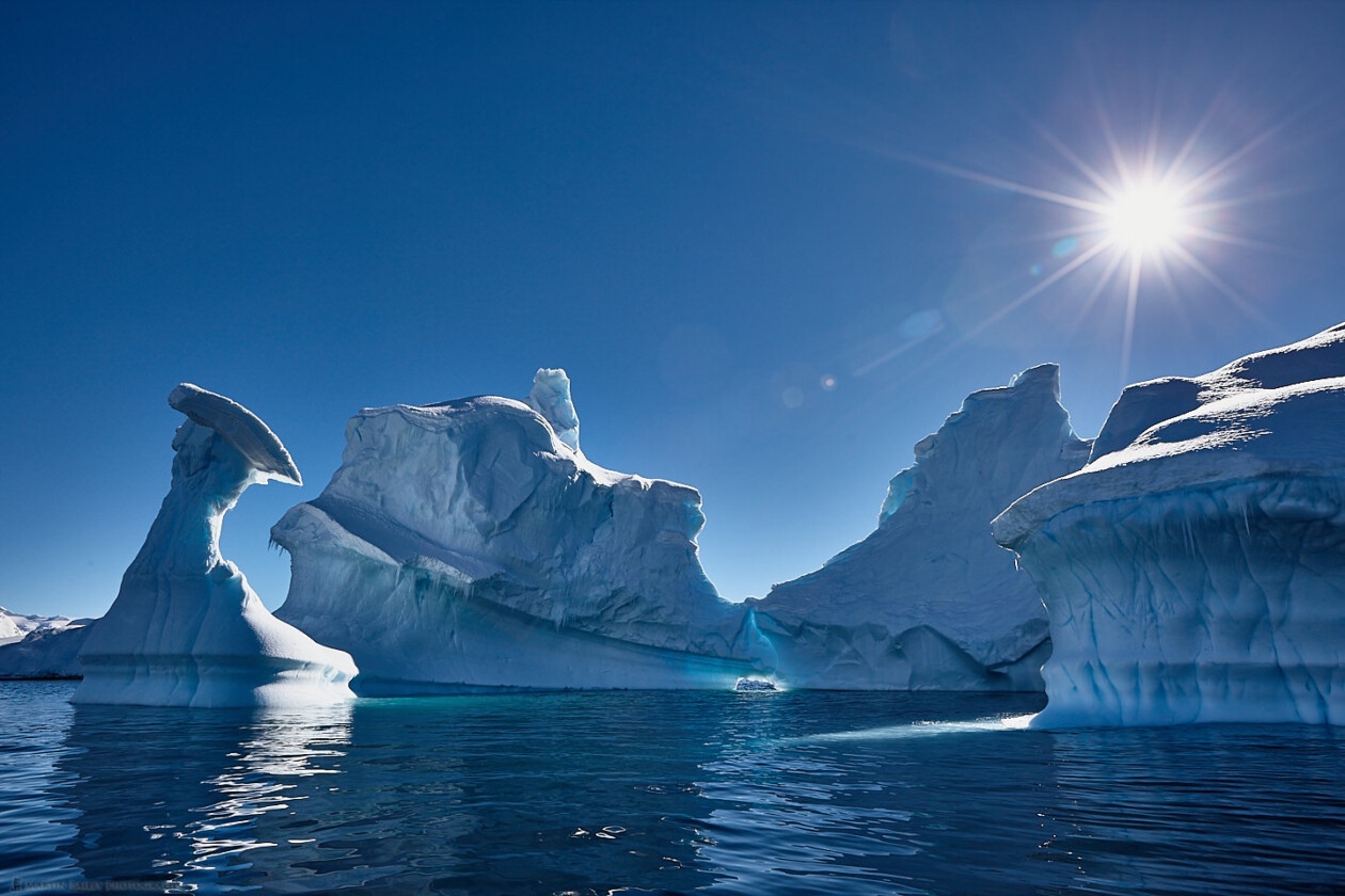 Portal Point Icebergs