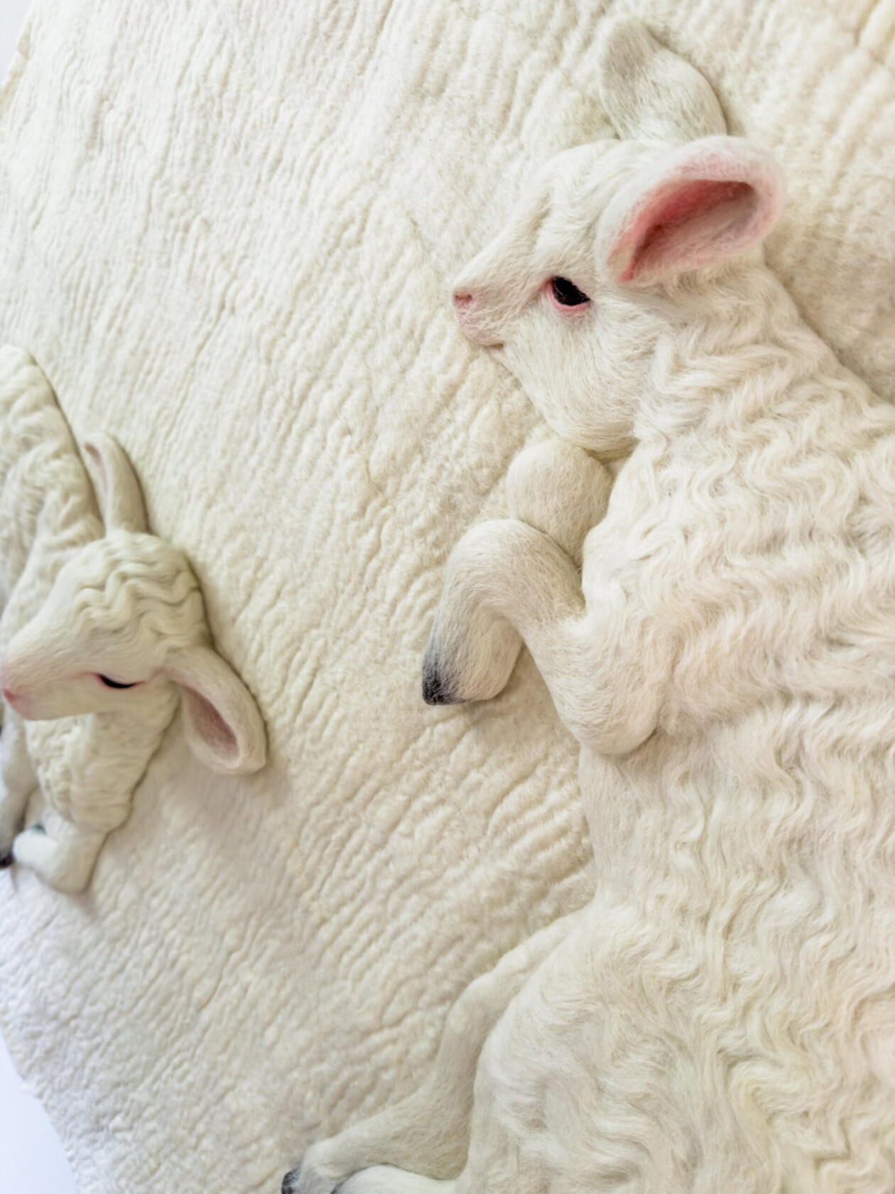 Hyper Realistic Felted Lambs By Holly Guertin (1)