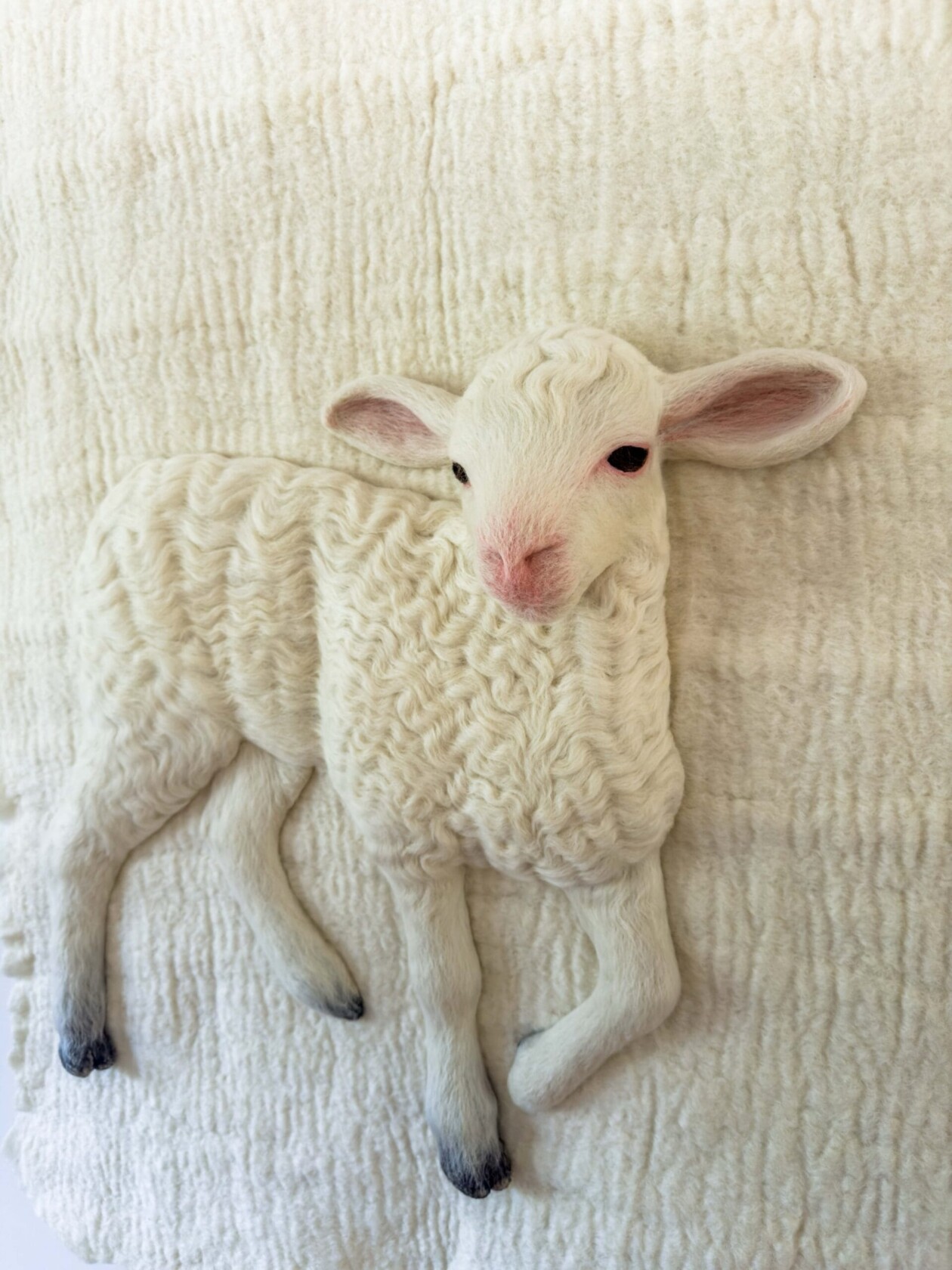 Hyper Realistic Felted Lambs By Holly Guertin (4)