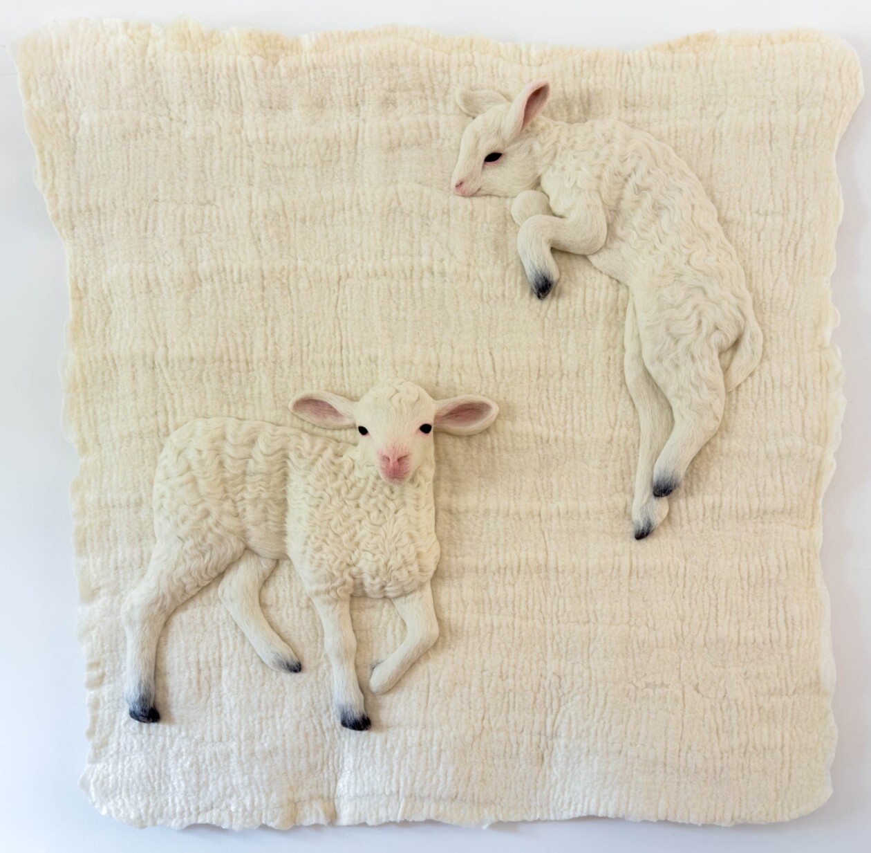 Hyper Realistic Felted Lambs By Holly Guertin (5)