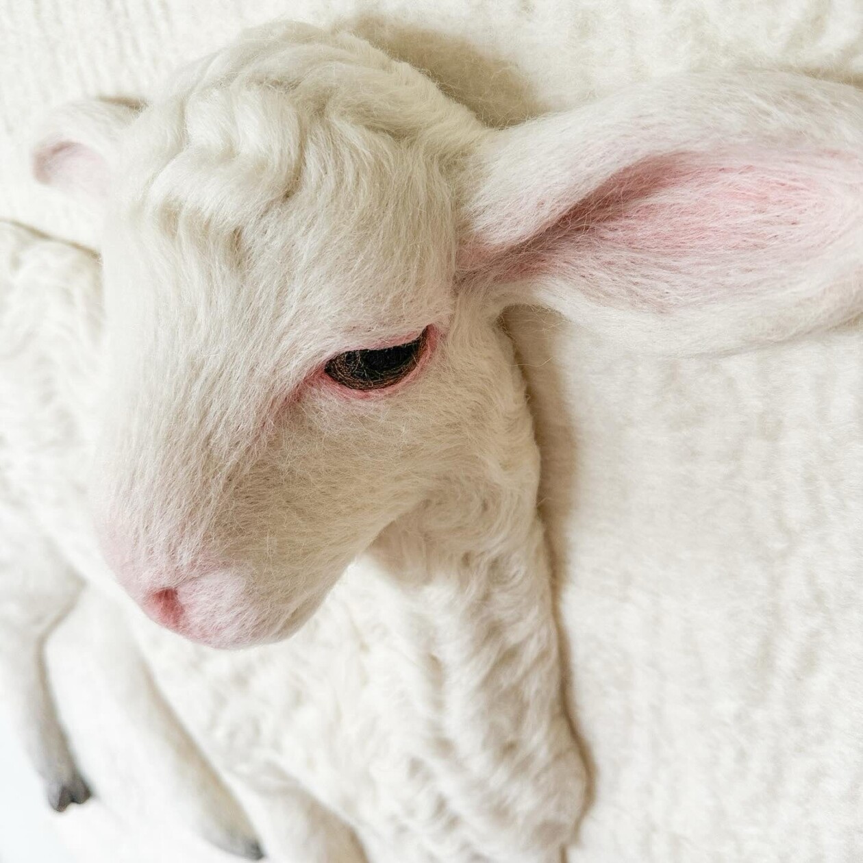 Hyper Realistic Felted Lambs By Holly Guertin (6)