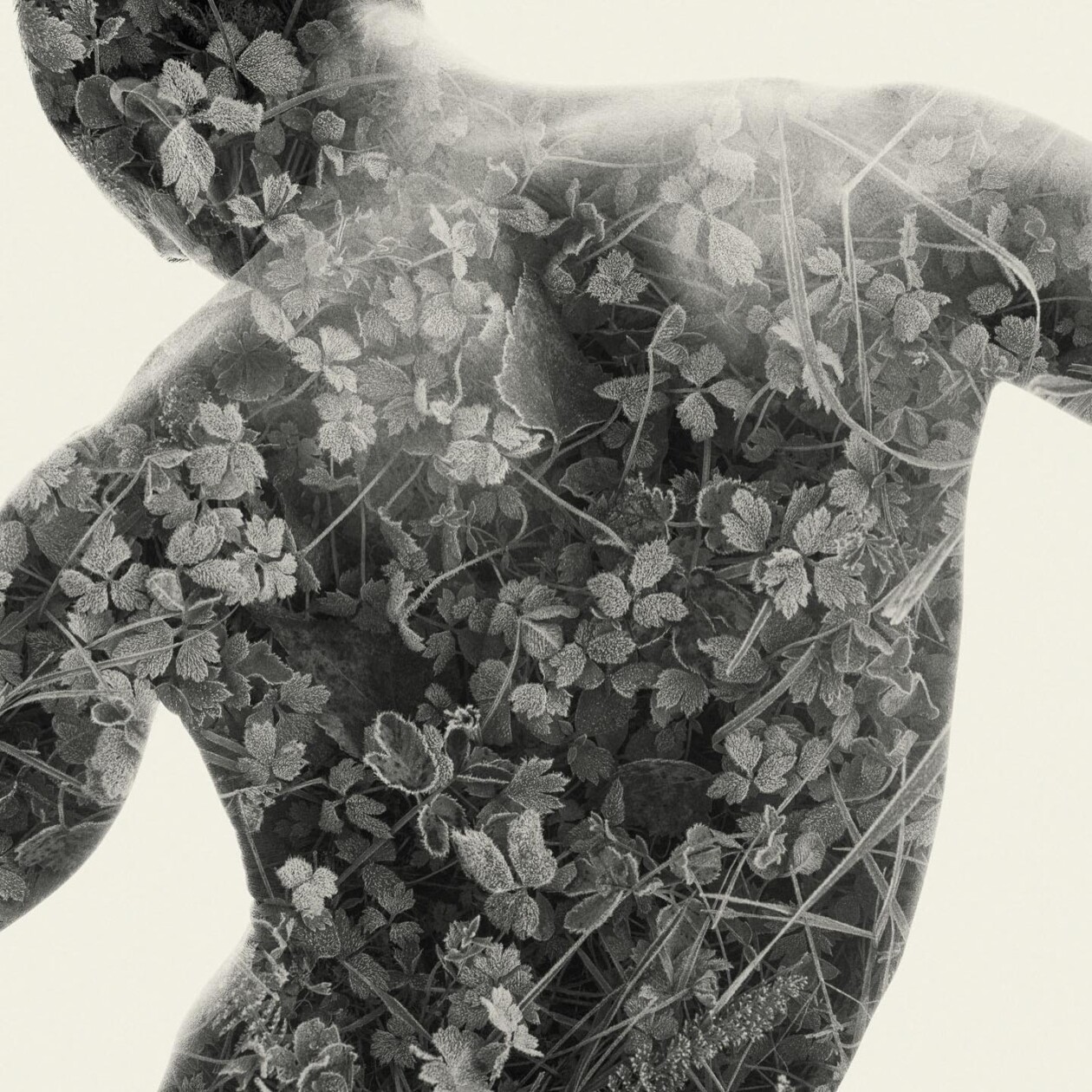 Christoffer Relander's Double Exposures (15)