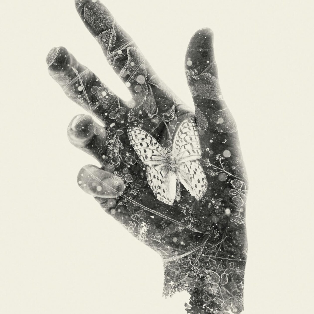 Christoffer Relander's Double Exposures (20)