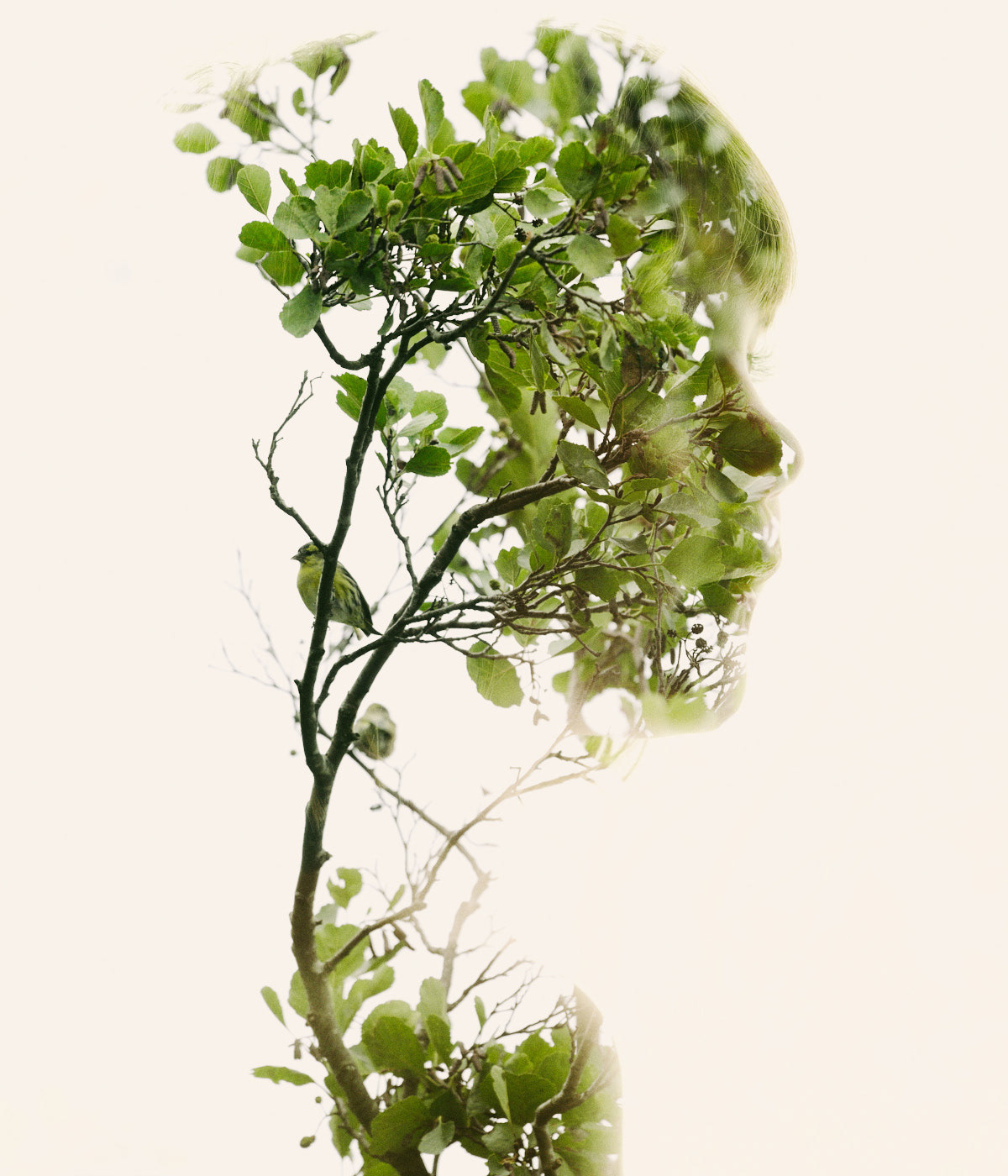 Christoffer Relander's Double Exposures (5)