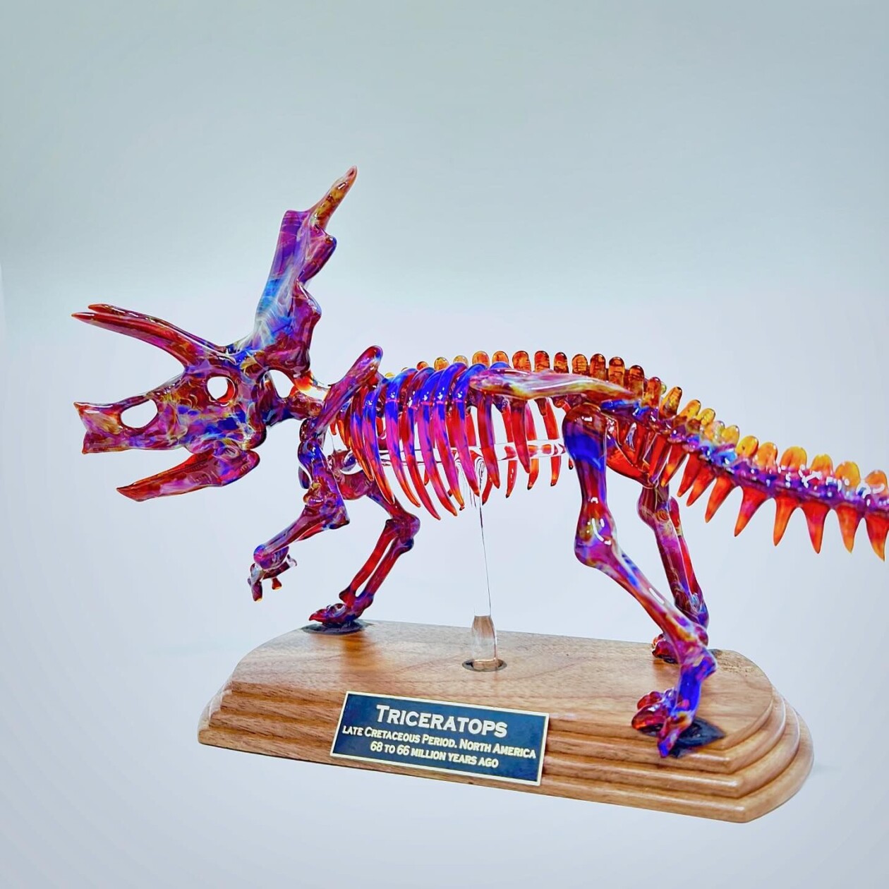 Dinosaur And Fossil Glass Sculptures By David White (13)