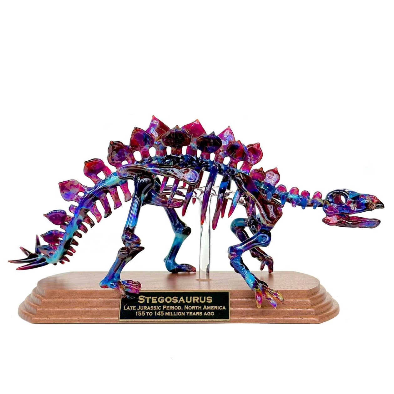 Dinosaur And Fossil Glass Sculptures By David White (4)