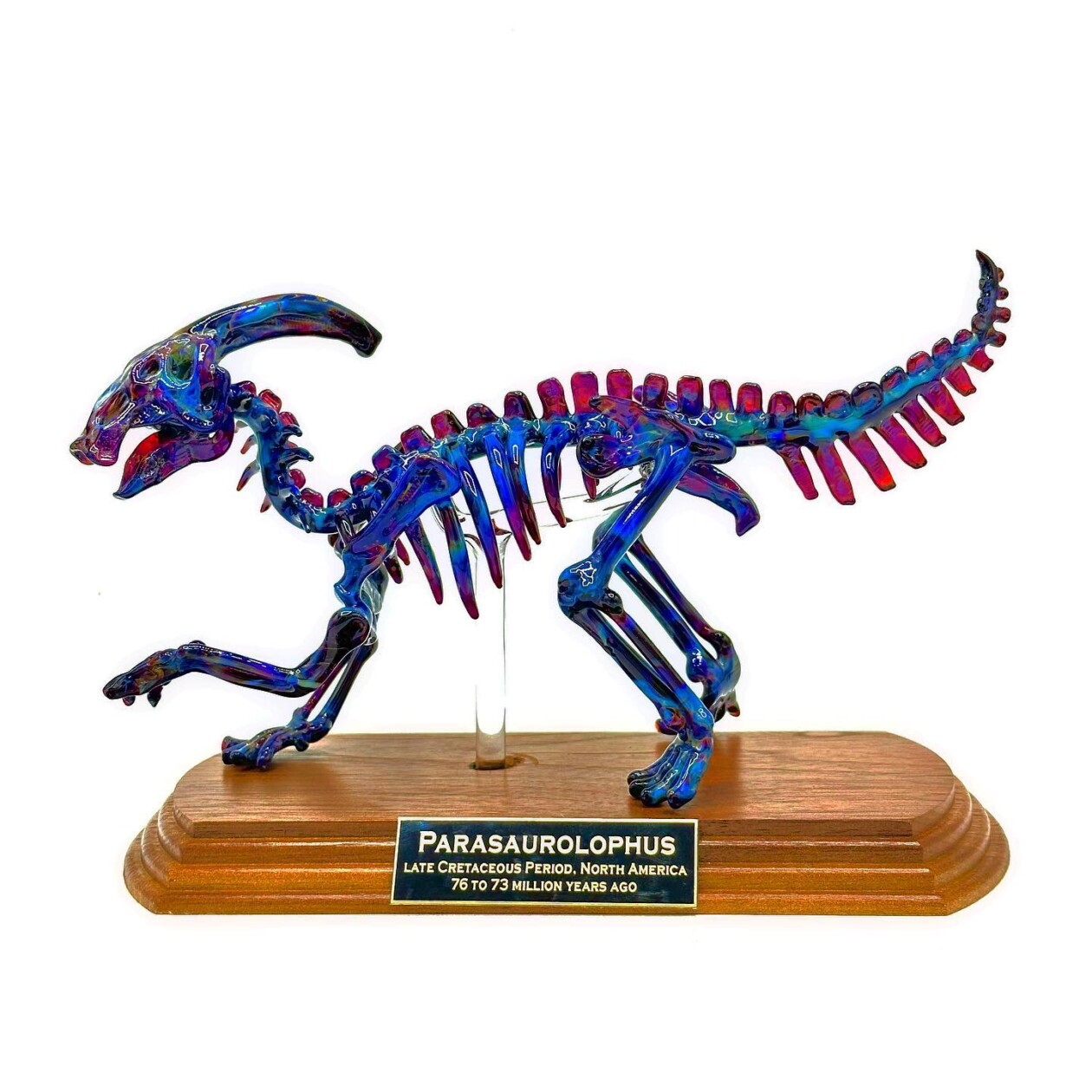 Dinosaur And Fossil Glass Sculptures By David White (6)