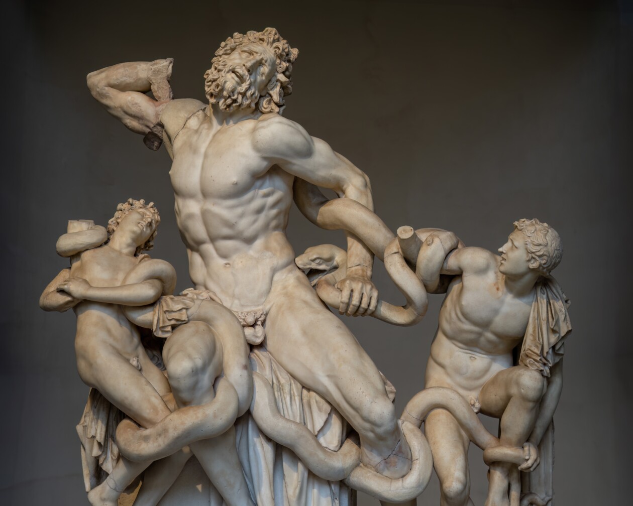 Laocoön And His Sons, Detail (late Hellenistic), Vatican Museum Image Via Wikipedia.