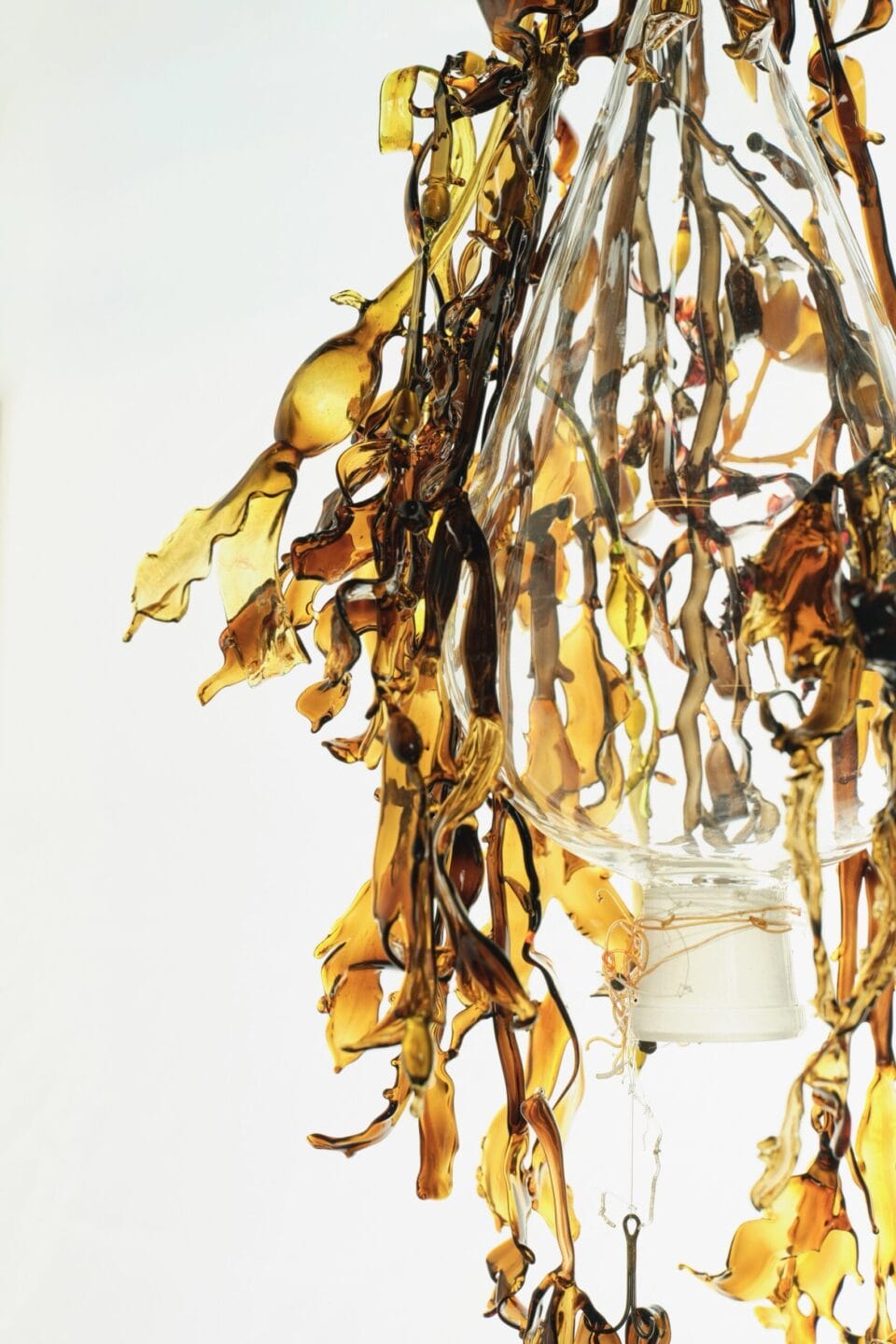 Andrea Spencer's Seaweed Glass Sculptures (10)