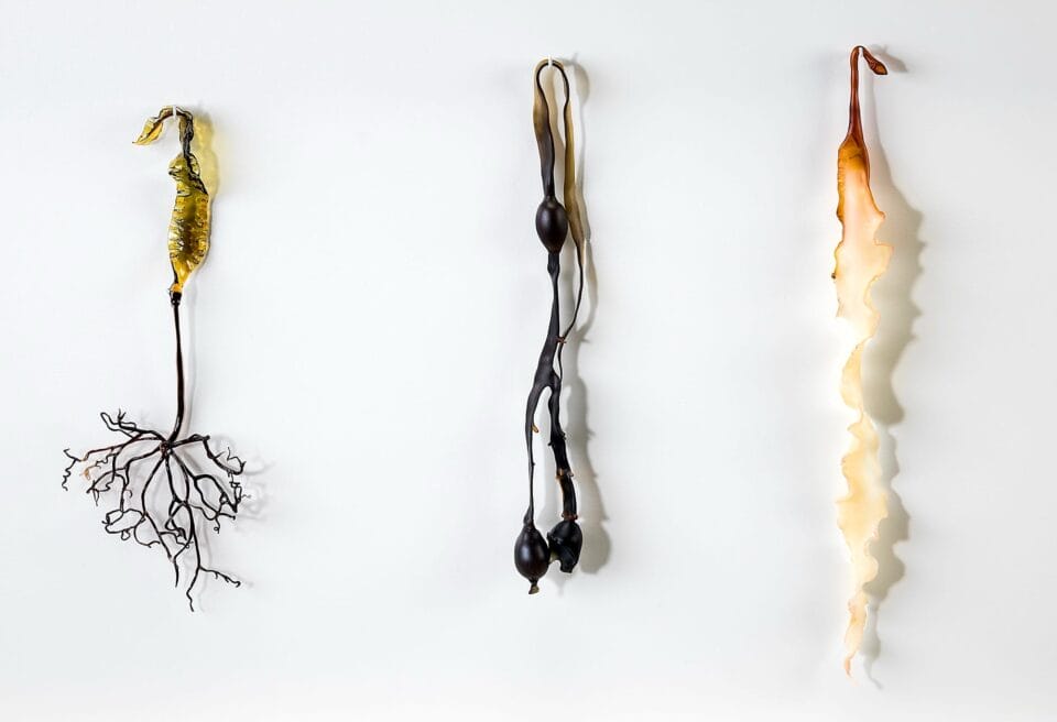 Andrea Spencer's Seaweed Glass Sculptures (6)