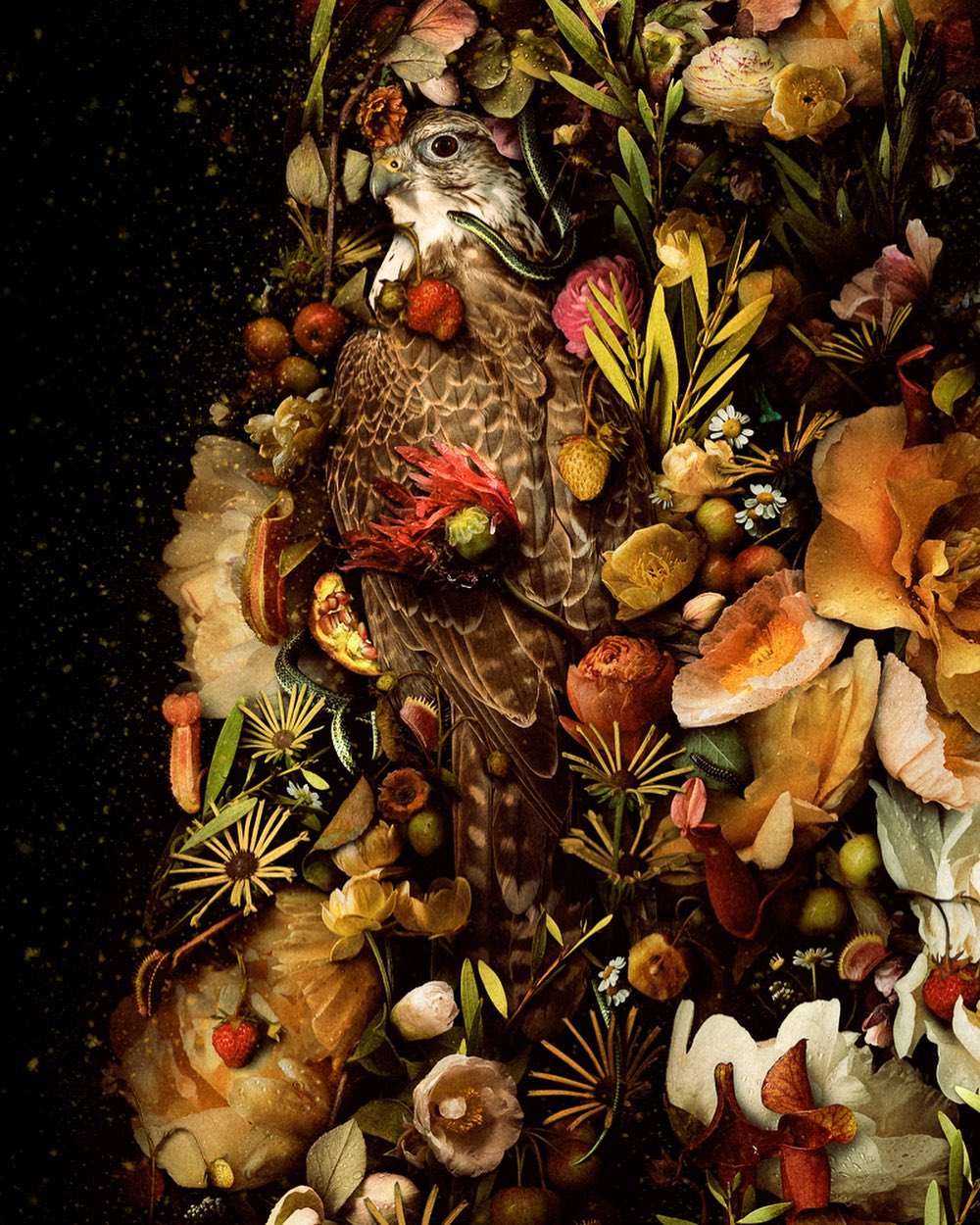 Meggan Joy's Floral Photocollage Silhouettes (11)