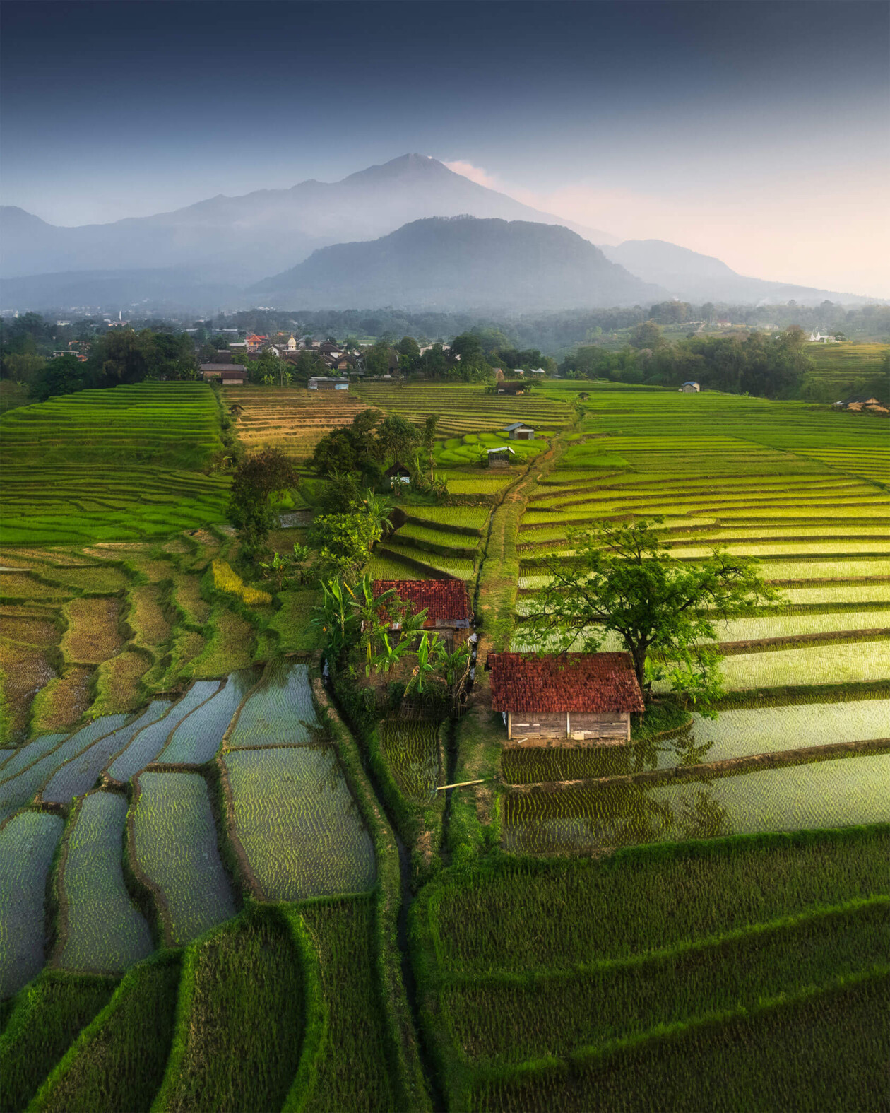 Aleksei Boiko's Photos Of Indonesian Rice Fields And Terraces (10)