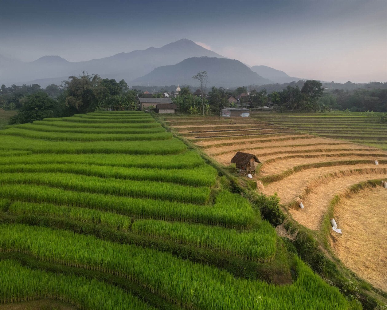 Aleksei Boiko's Photos Of Indonesian Rice Fields And Terraces (11)