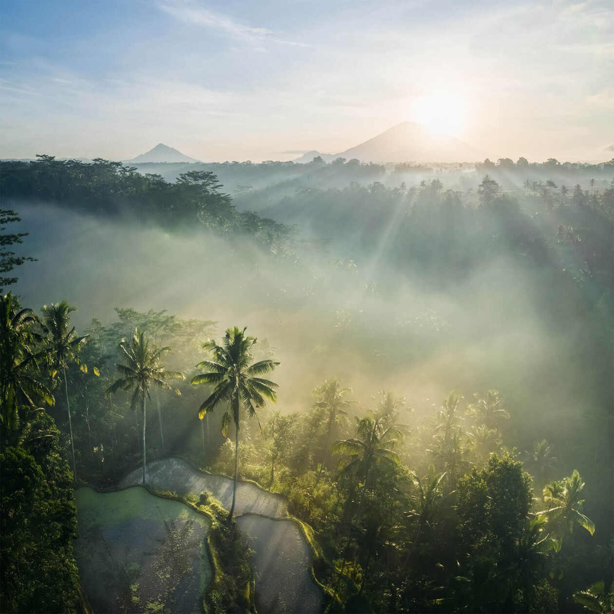 Aleksei Boiko's Photos Of Indonesian Rice Fields And Terraces (13)