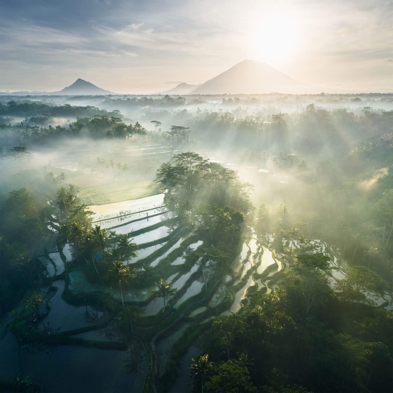 Aleksei Boiko's Photos Of Indonesian Rice Fields And Terraces (15)