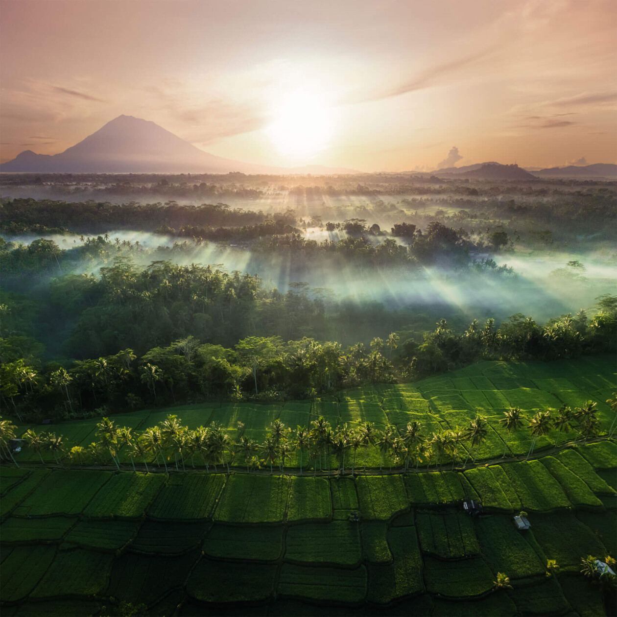 Aleksei Boiko's Photos Of Indonesian Rice Fields And Terraces (16)